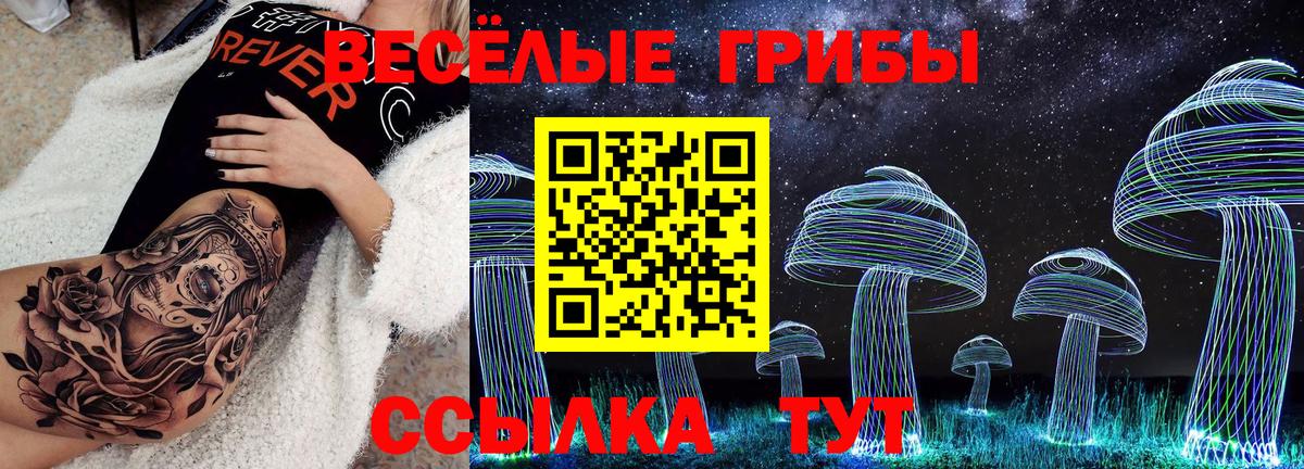 Новоалександровск  где купить   Вход с VPN  Псилоцибиновые грибы ЛСД  Галлюциногенные грибы Psilocybine cubensis 